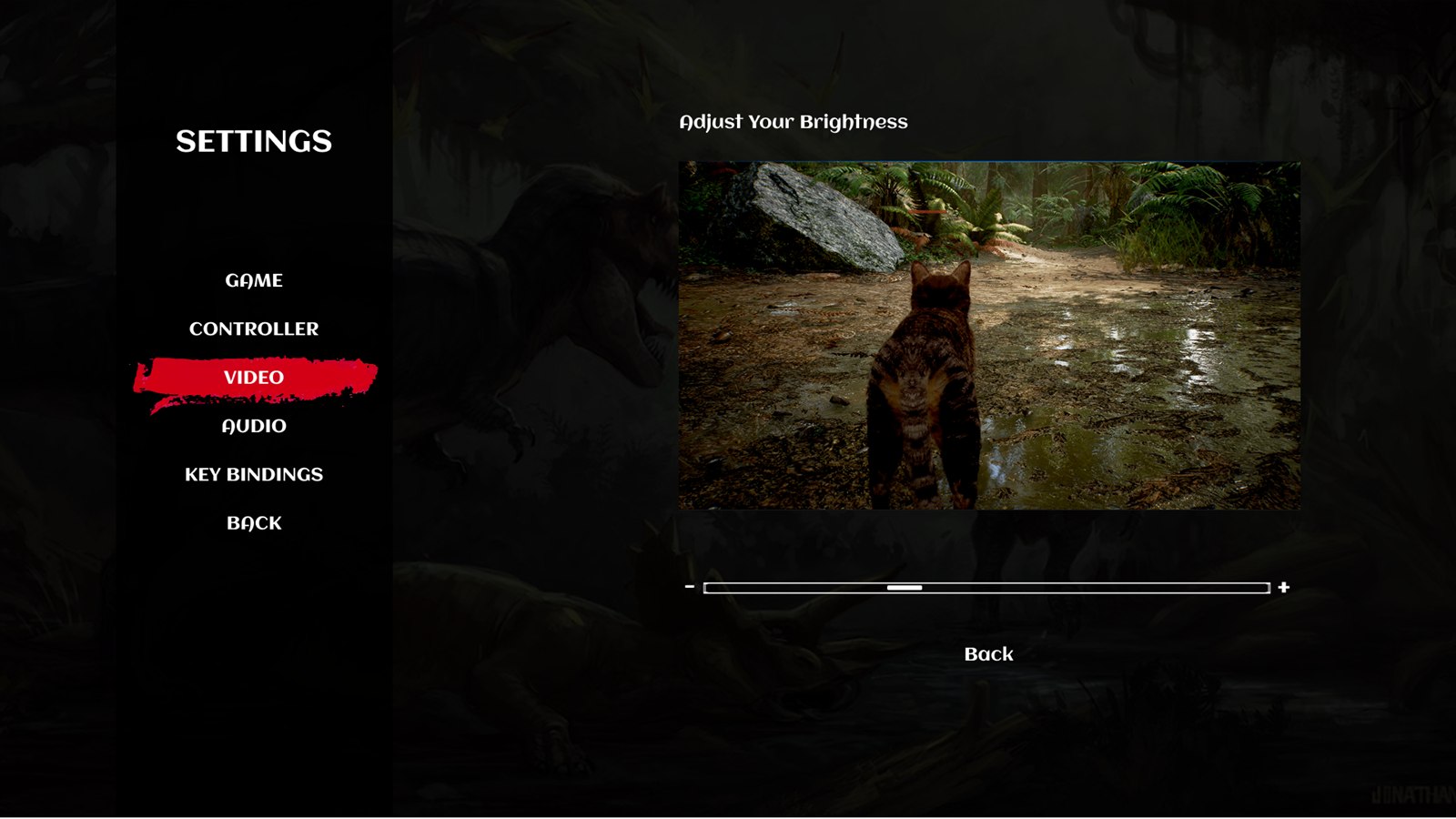 Video settings screen with category navigation and a brightness calibration preview and slider